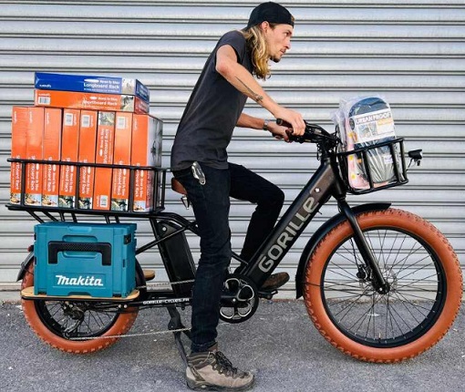 Electric cargo bikes