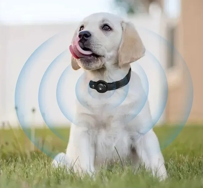 Activity trackers for animals