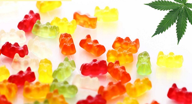 CBD gummy bears