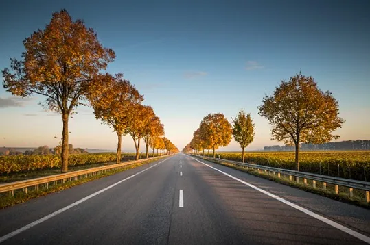 CO2-absorbing roads