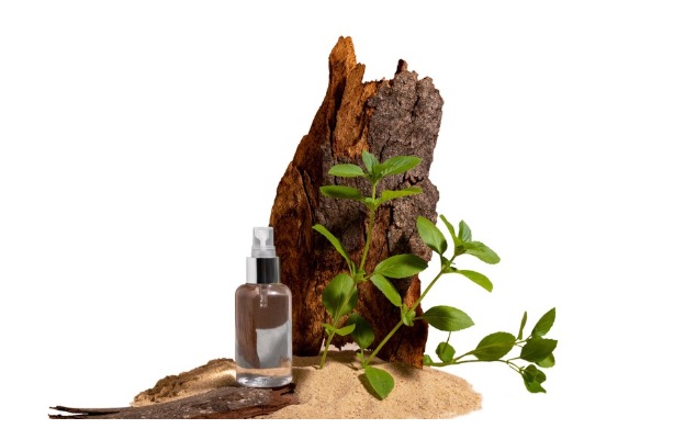 Catnip-infused fragrances