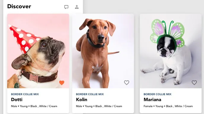 Digital pet adoption platforms