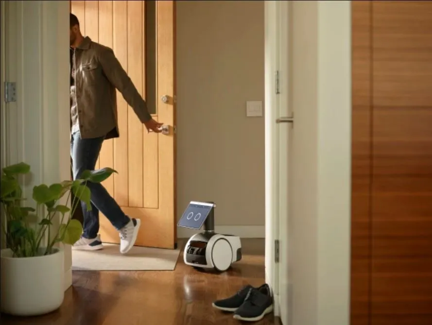 A domestic robot that house sits when you are away