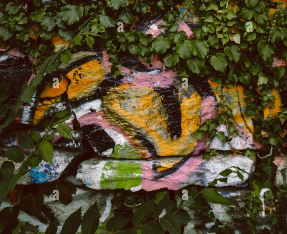 Organic anti graffiti devices – Prevent vandalism with vines and leaves