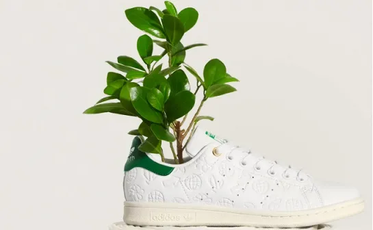 Biodegradable shoes