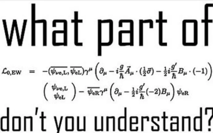 There is only 1 type of calculus