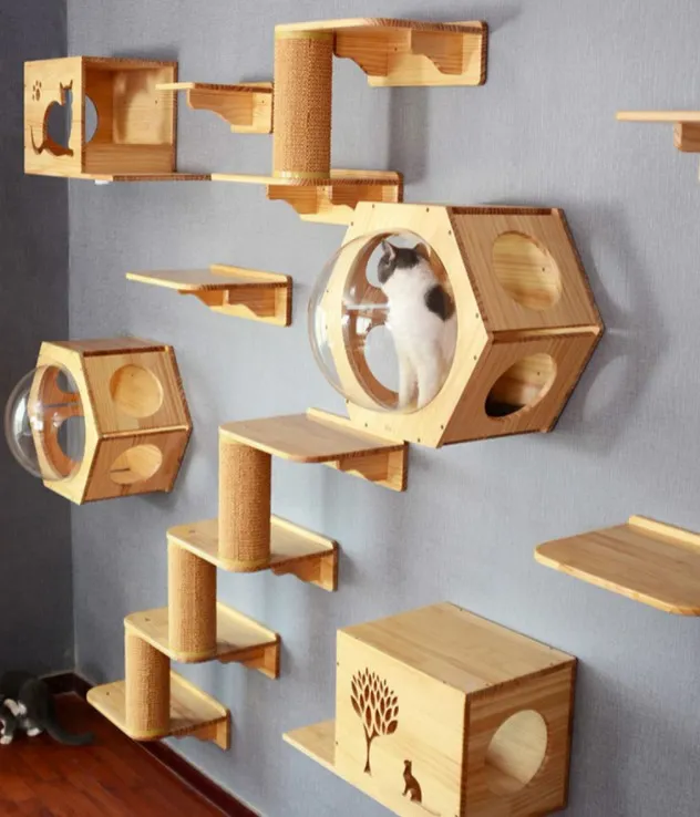 Make a cat heaven toy