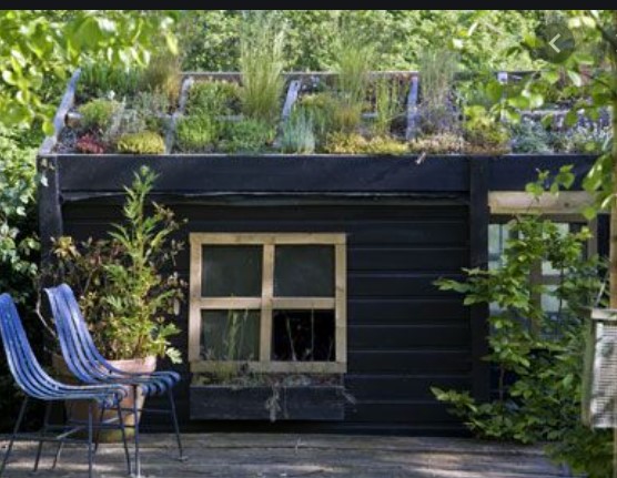 Modern green roofs, like a living thatch