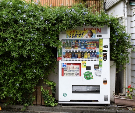 Carbon-absorbing vending machines