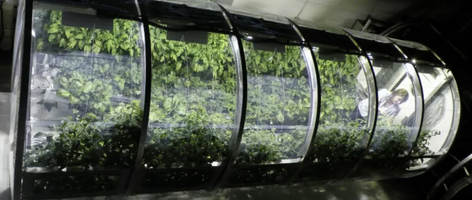 Grow food in space