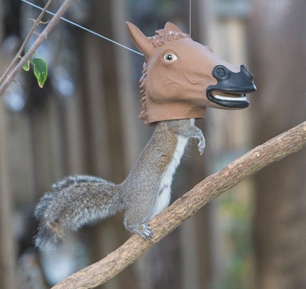 Horse shaped feeders for birds and squirrels