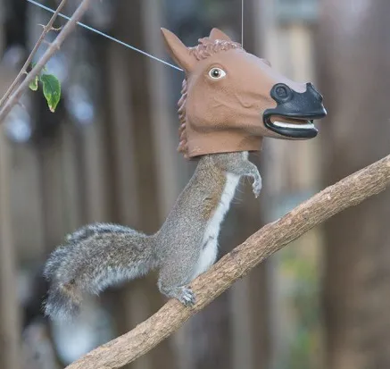 Horse shaped feeders for birds and squirrels