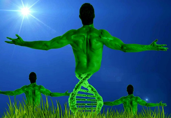 Hack human genes to synthesize nutrients from the sun