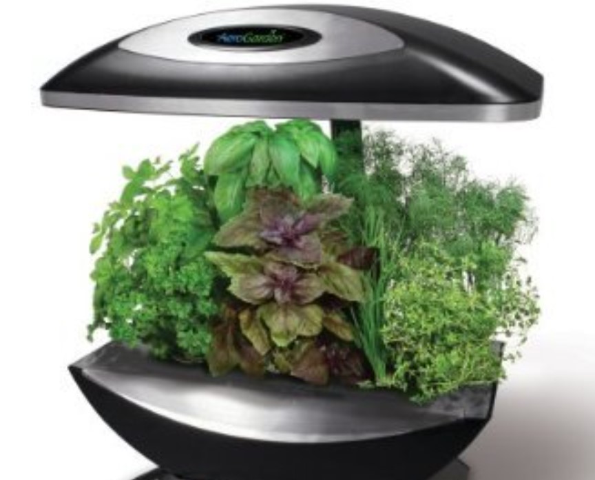An all in one hydroponic plant pot and light