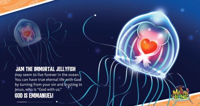 LIVE FOREVER – ‘immortal’ jellyfish stem cell treatments