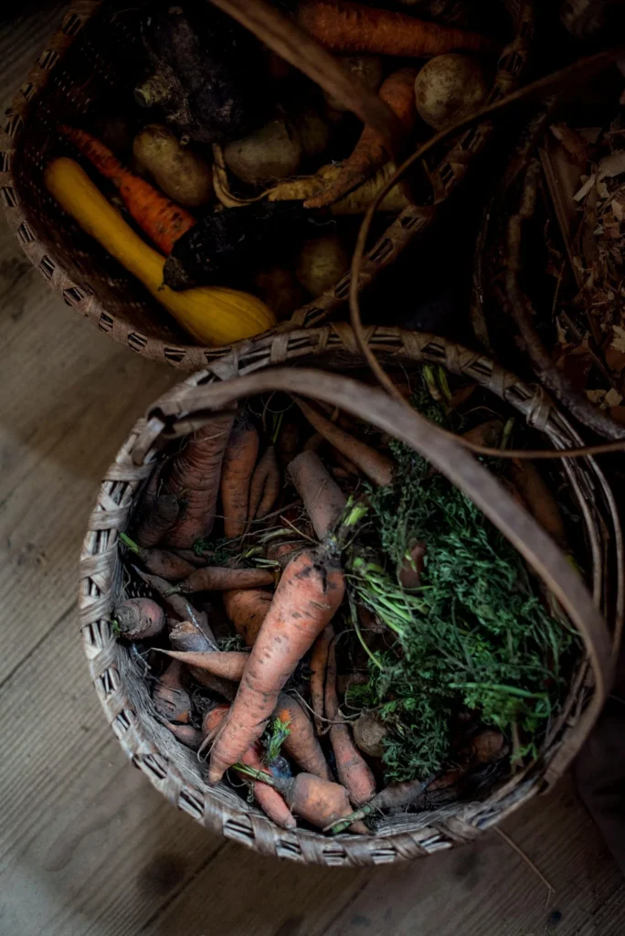 Gardening and crop growing lessons for all