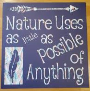 Nature uses as little as possible of anything
