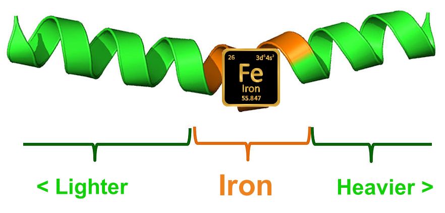 The Periodic Line – with Iron in the middle