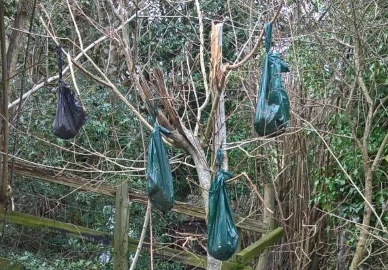 Dog poop bag fingerprint kits