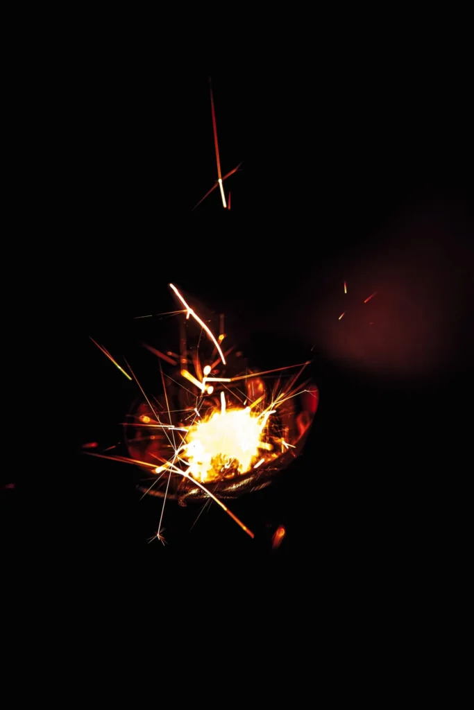 Dryer lint as fire lighters