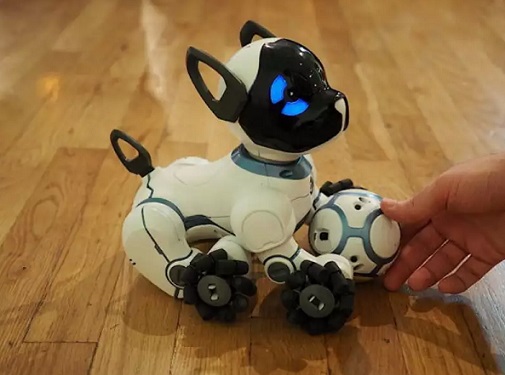 Emotional support companion robot