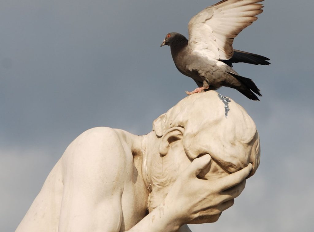 Philosophy is to science what pigeons are to statues