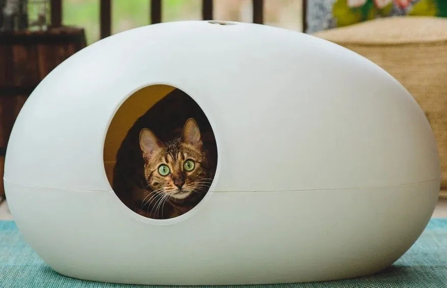 Odour neutralising cat toilets