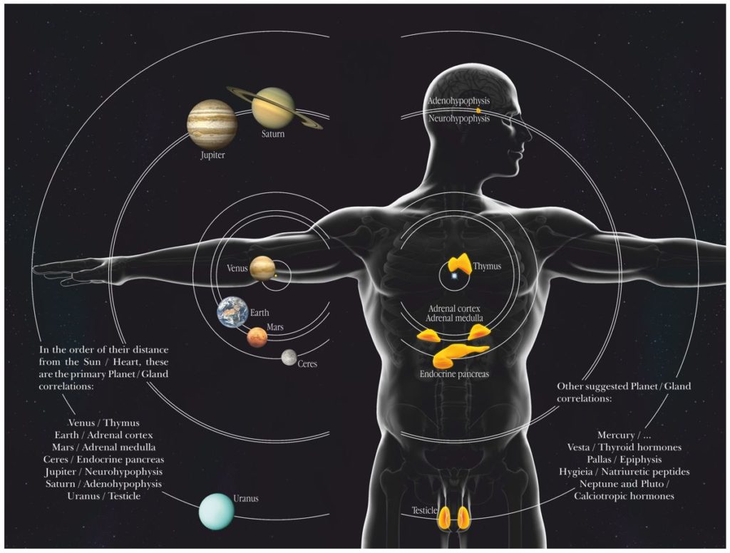 The harmonic relationship between the solar system and the human body