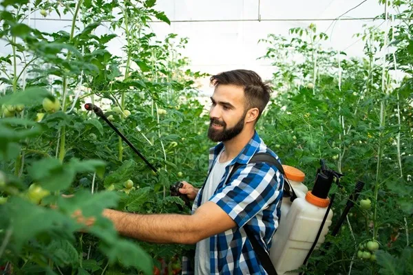 Sticky pesticides