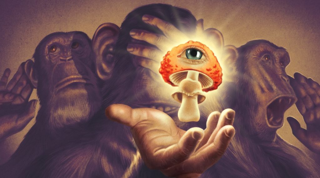The stoned ape hypothesis