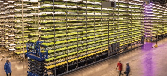Build vertical farming stations underground